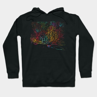 Purkinje Neuron Hoodie